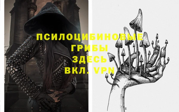 альфа пвп Магас