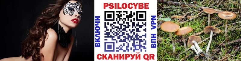 darknet телеграм  Чердынь  Галлюциногенные грибы ЛСД 